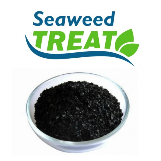 Seaweed Concentrate Flake - Highly soluble concentrated Seaweed Extract